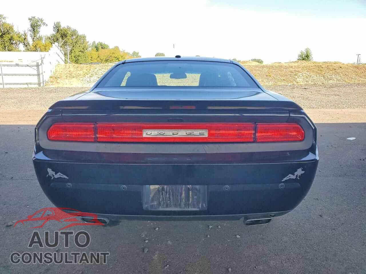 DODGE CHALLENGER 2013 - 2C3CDYAG1DH562684