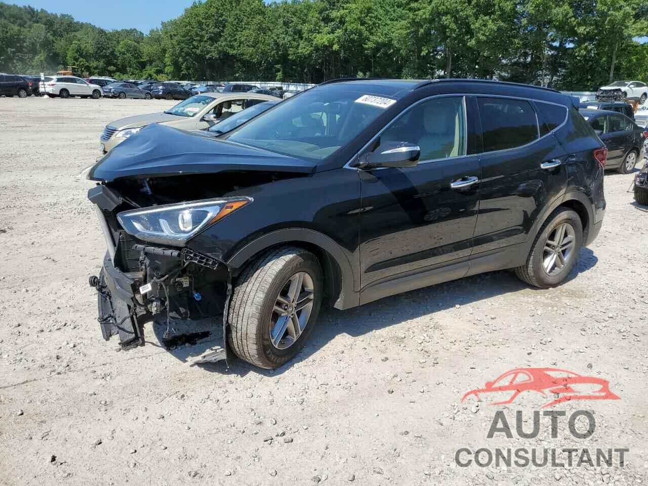 HYUNDAI SANTA FE 2017 - 5XYZUDLB4HG479612