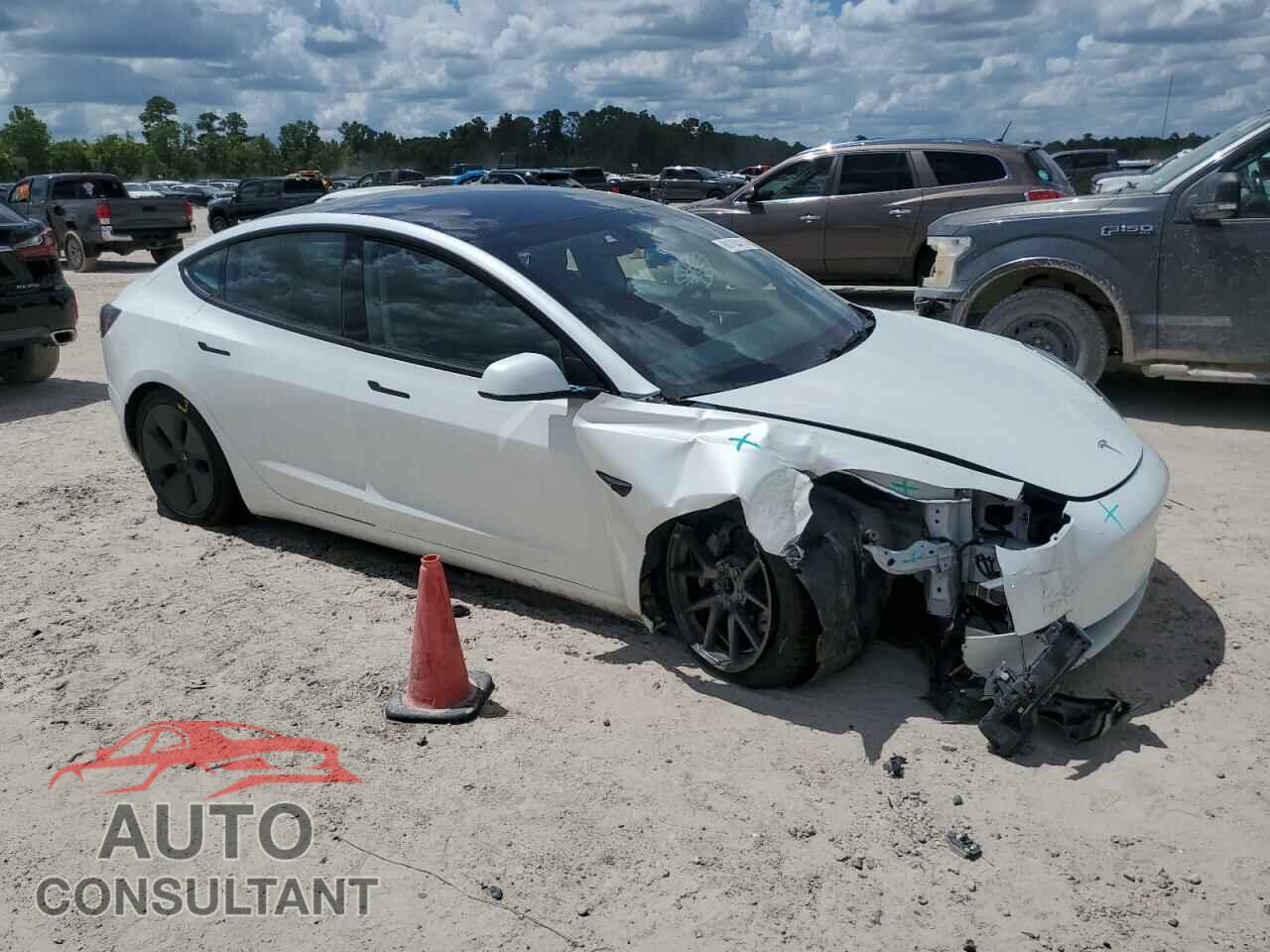TESLA MODEL 3 2021 - 5YJ3E1EA1MF098131