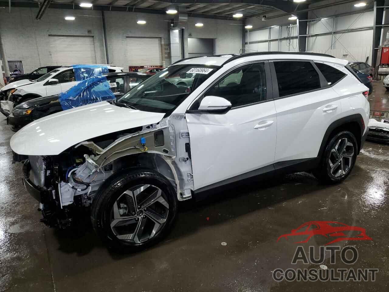 HYUNDAI TUCSON 2024 - 5NMJFCDE9RH385288