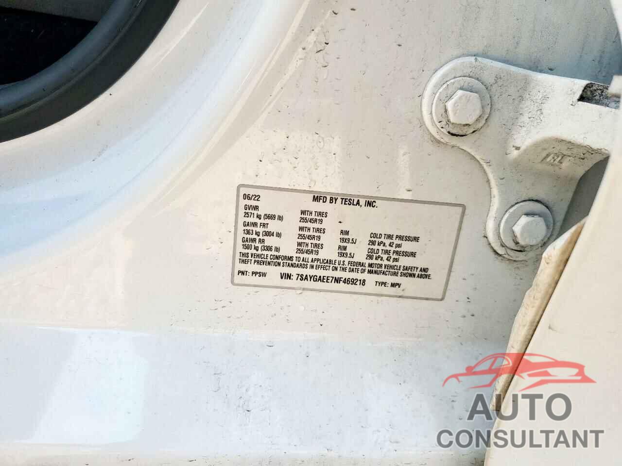 TESLA MODEL Y 2022 - 7SAYGAEE7NF469218