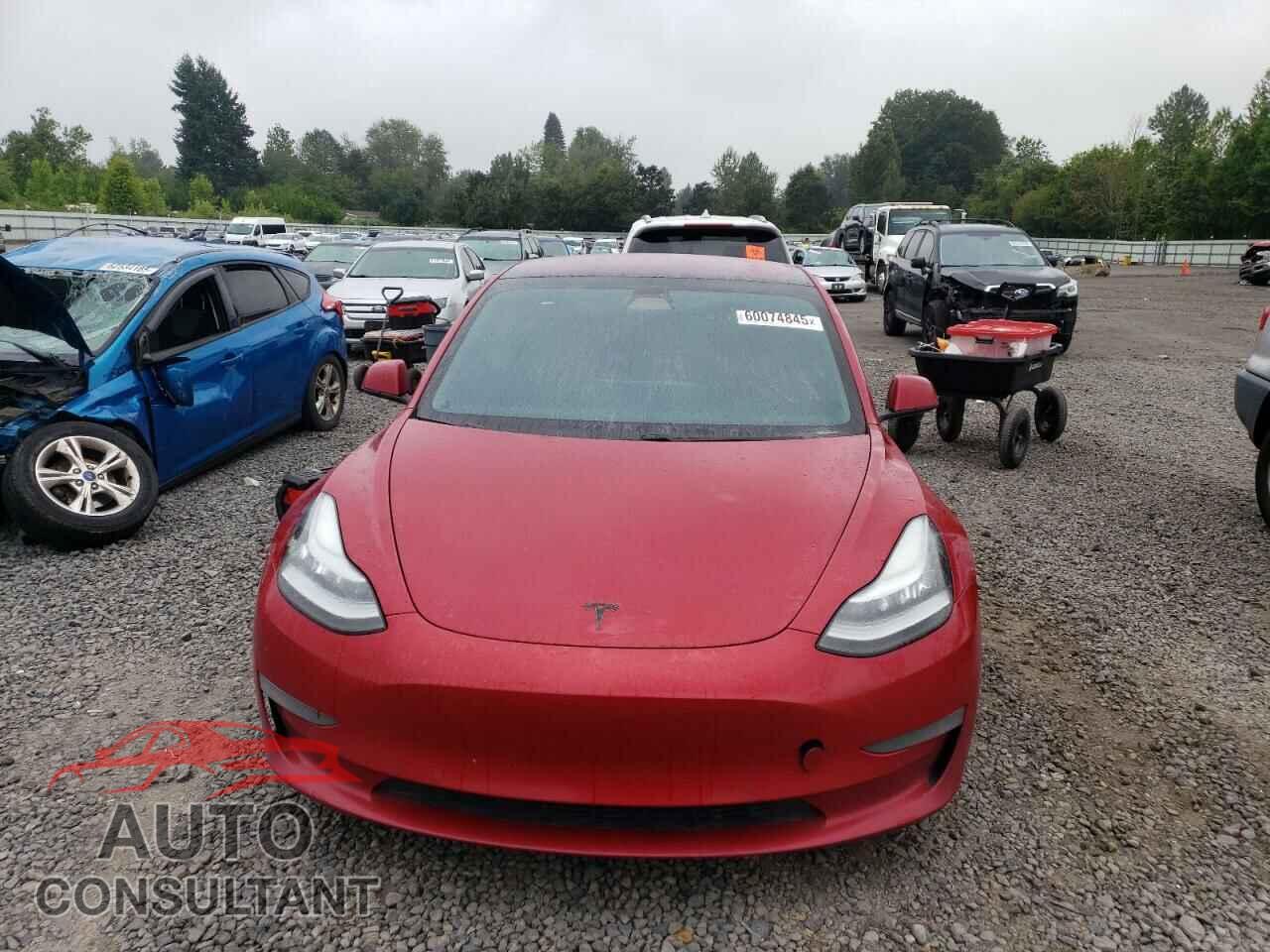 TESLA MODEL 3 2019 - 5YJ3E1EA6KF313791
