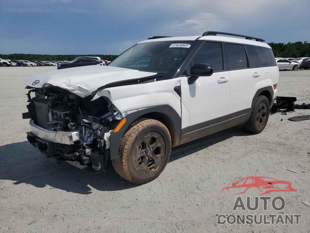 HYUNDAI SANTA FE 2024 - 5NMP3DGL7RH009997
