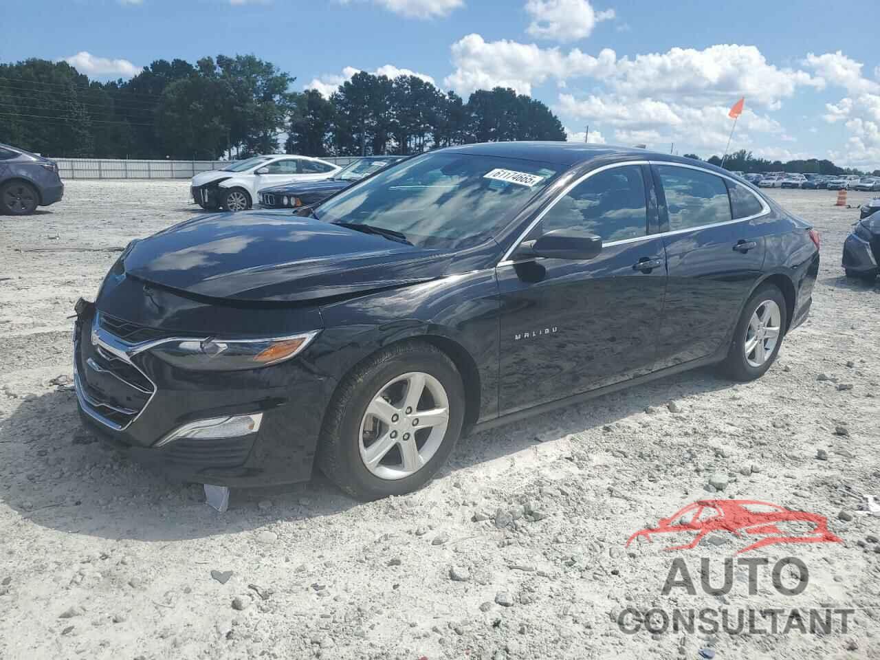 CHEVROLET MALIBU 2019 - 1G1ZB5STXKF212399