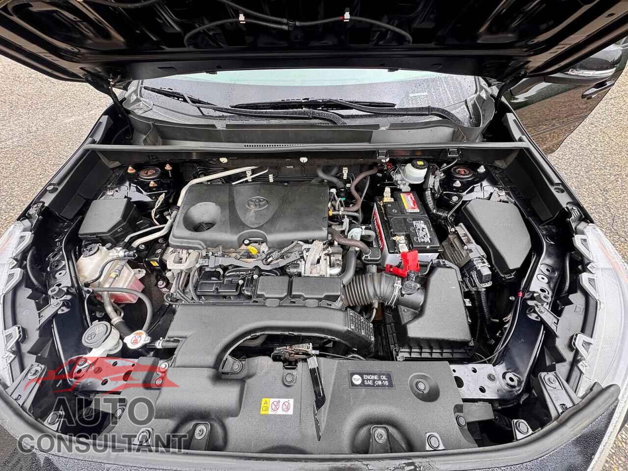 TOYOTA RAV4 2019 - JTMP1RFV4KD047028