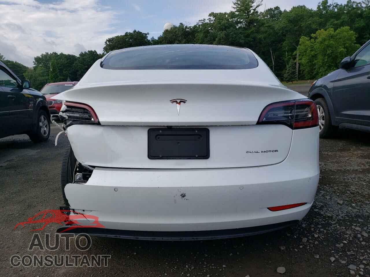 TESLA MODEL 3 2019 - 5YJ3E1EB7KF493713