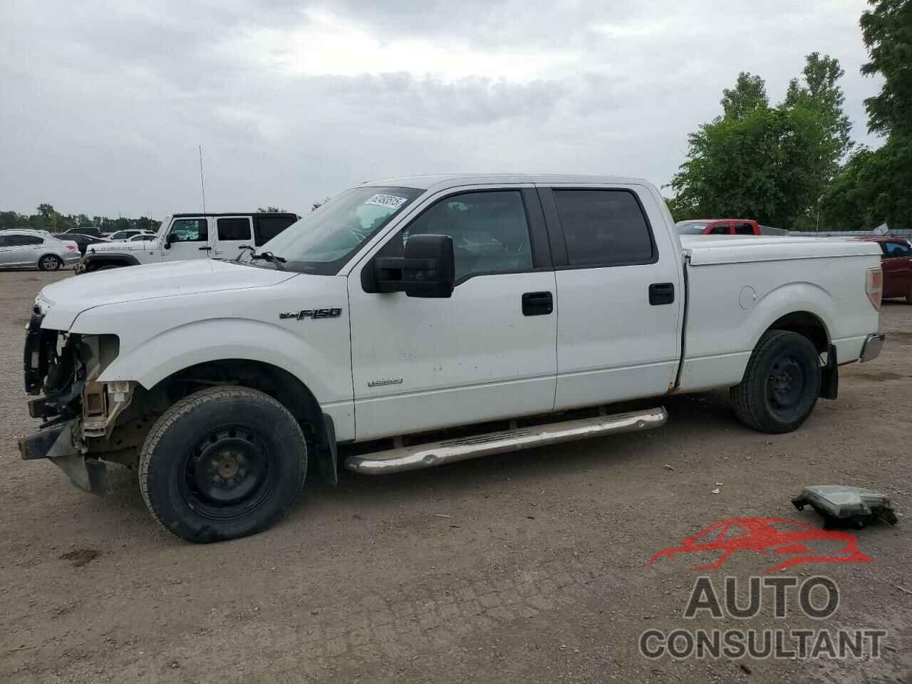 FORD F-150 2013 - 1FTFW1CT2DFB46925