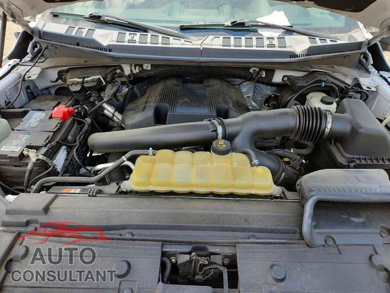 FORD F150 2019 - 1FTEW1E40KFC53745