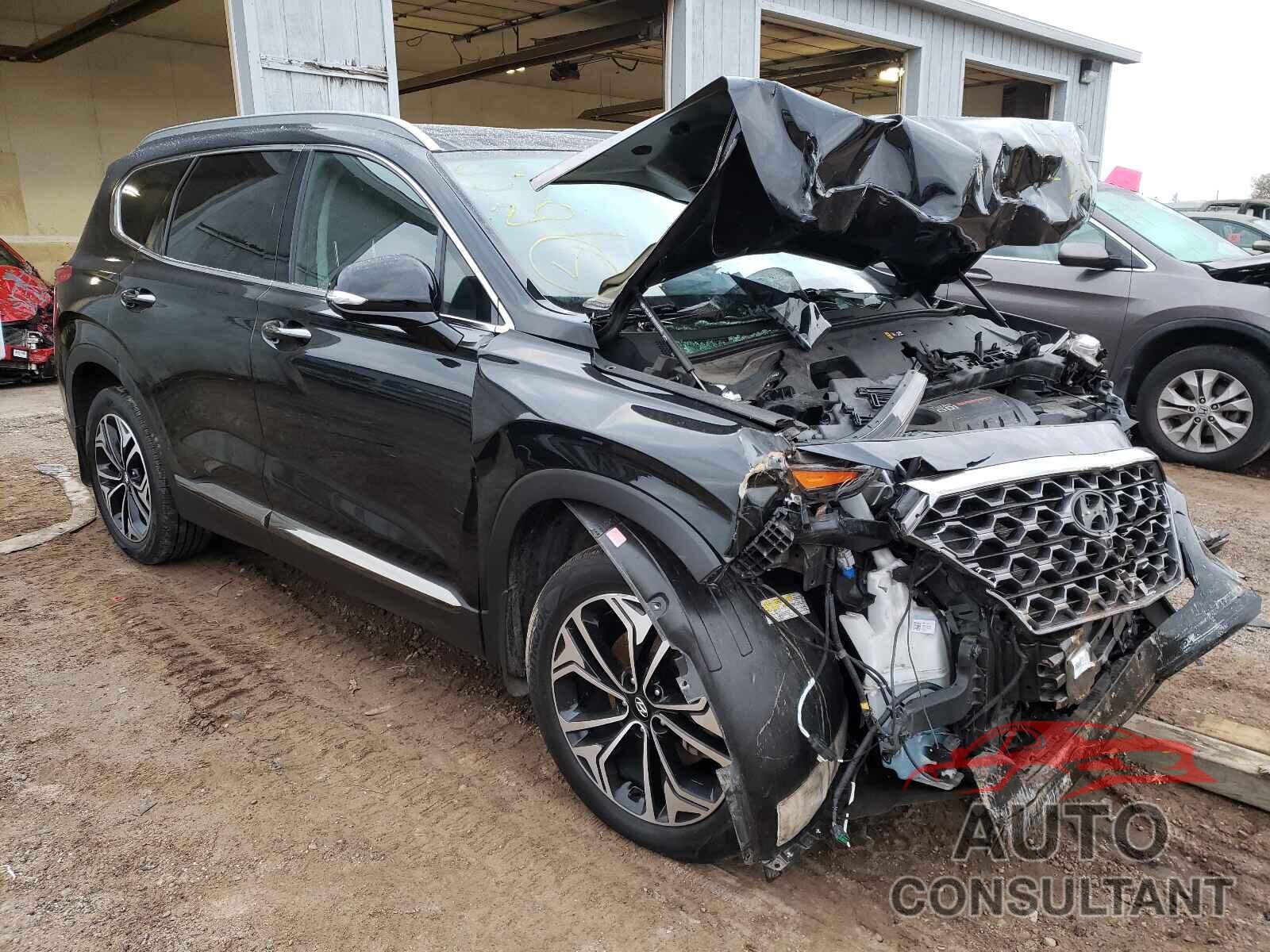HYUNDAI SANTA FE 2020 - 5NMS5CAA0LH164792