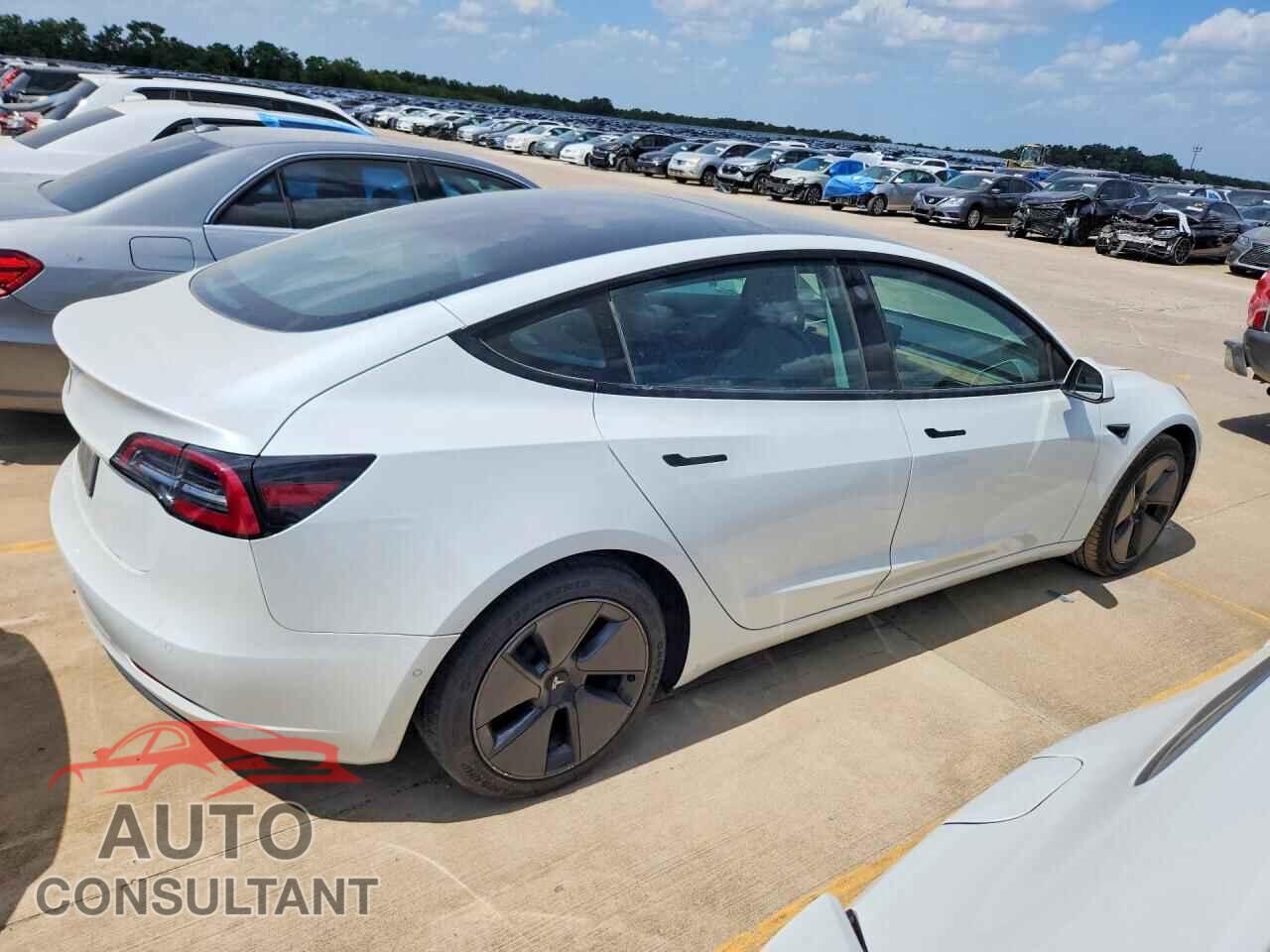 TESLA MODEL 3 2021 - 5YJ3E1EA8MF100280