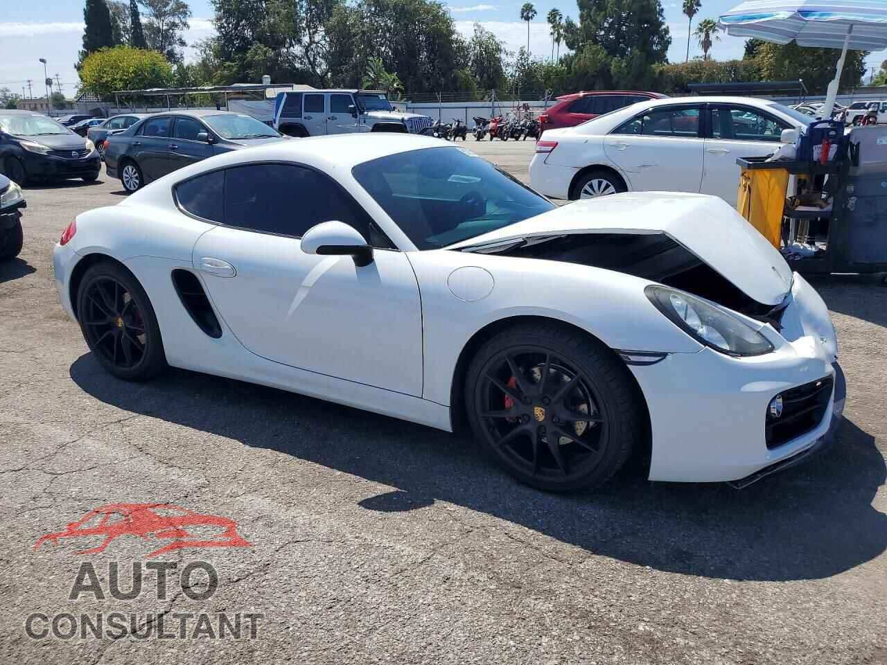 PORSCHE CAYMAN 2015 - WP0AA2A84FK162003