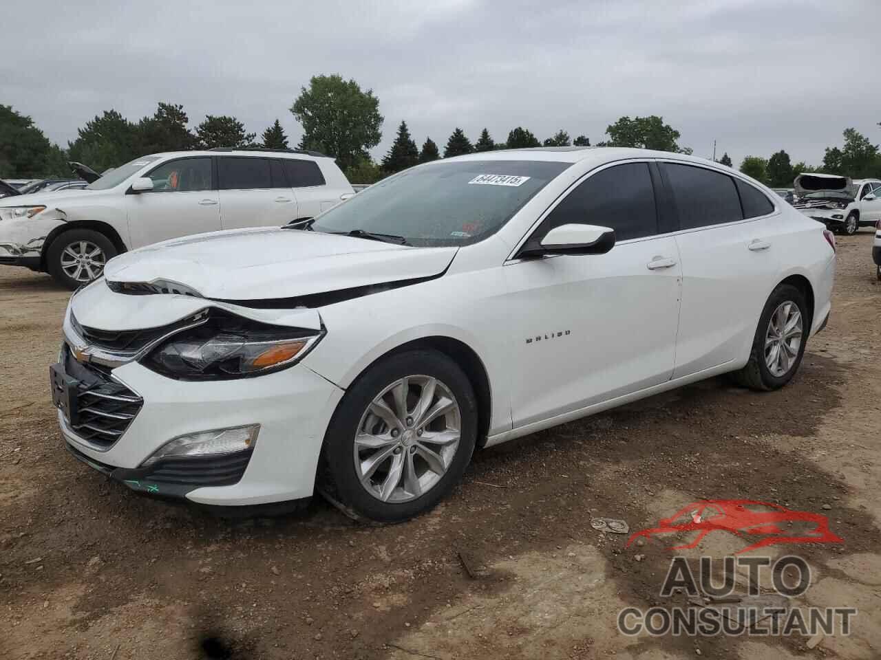 CHEVROLET MALIBU 2019 - 1G1ZD5ST8KF197928