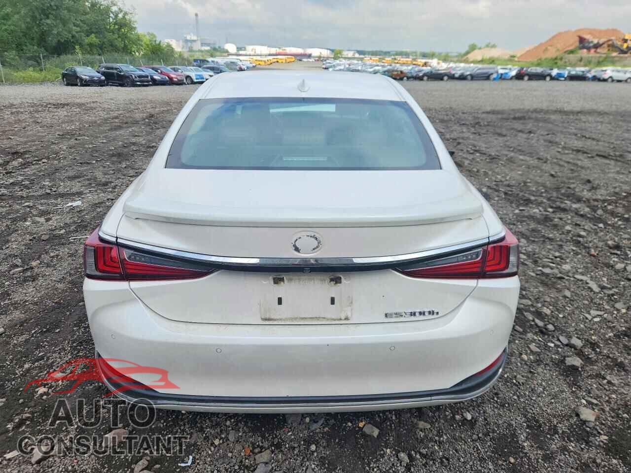 LEXUS ES300 2022 - 58ADA1C15NU020595