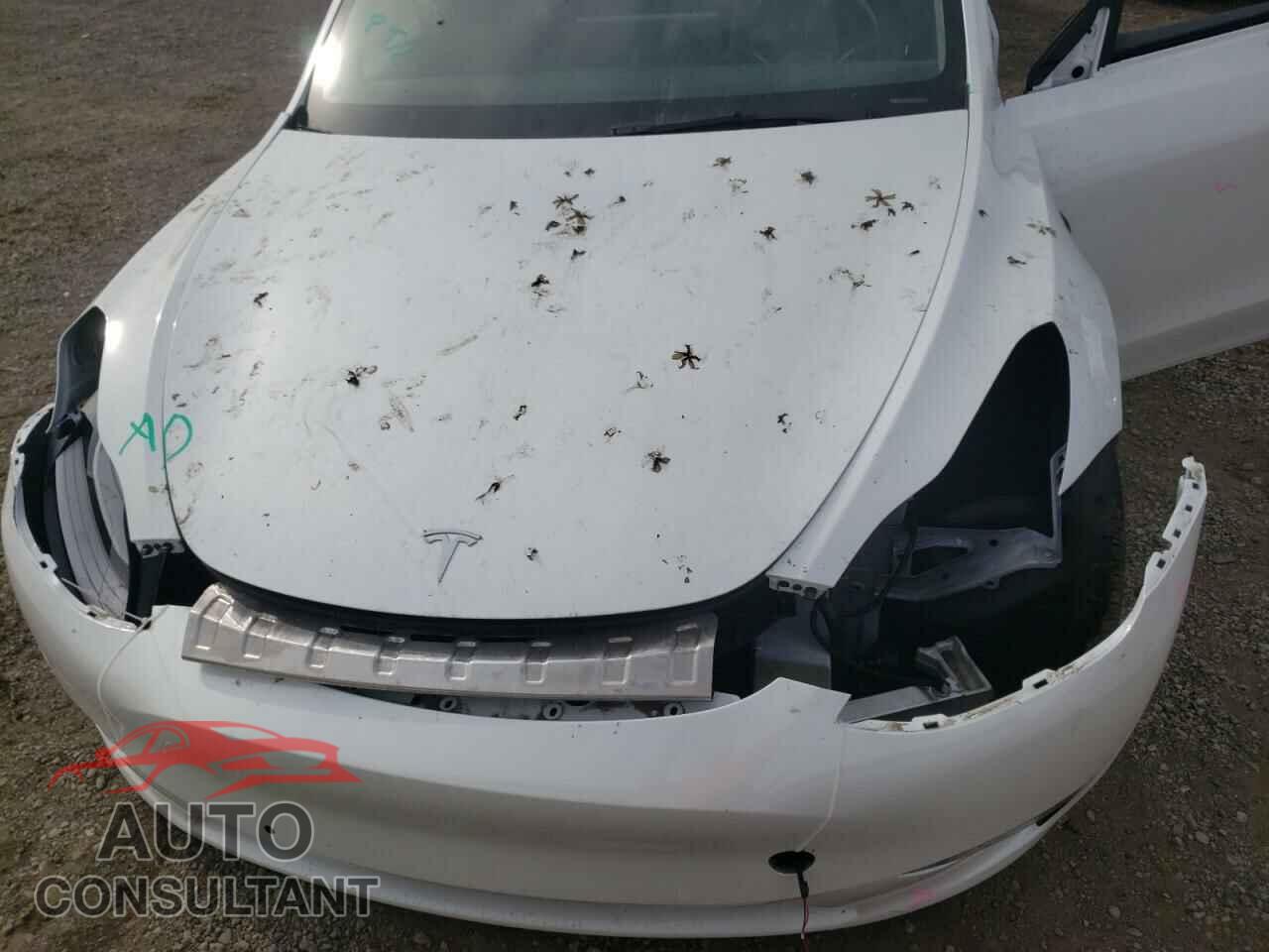 TESLA MODEL Y 2021 - 5YJYGDEE4MF108915