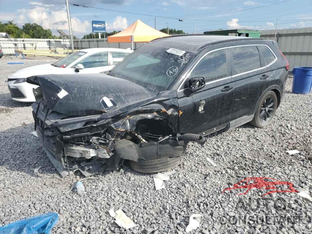 HONDA CRV 2025 - 7FARS6H82SE018149
