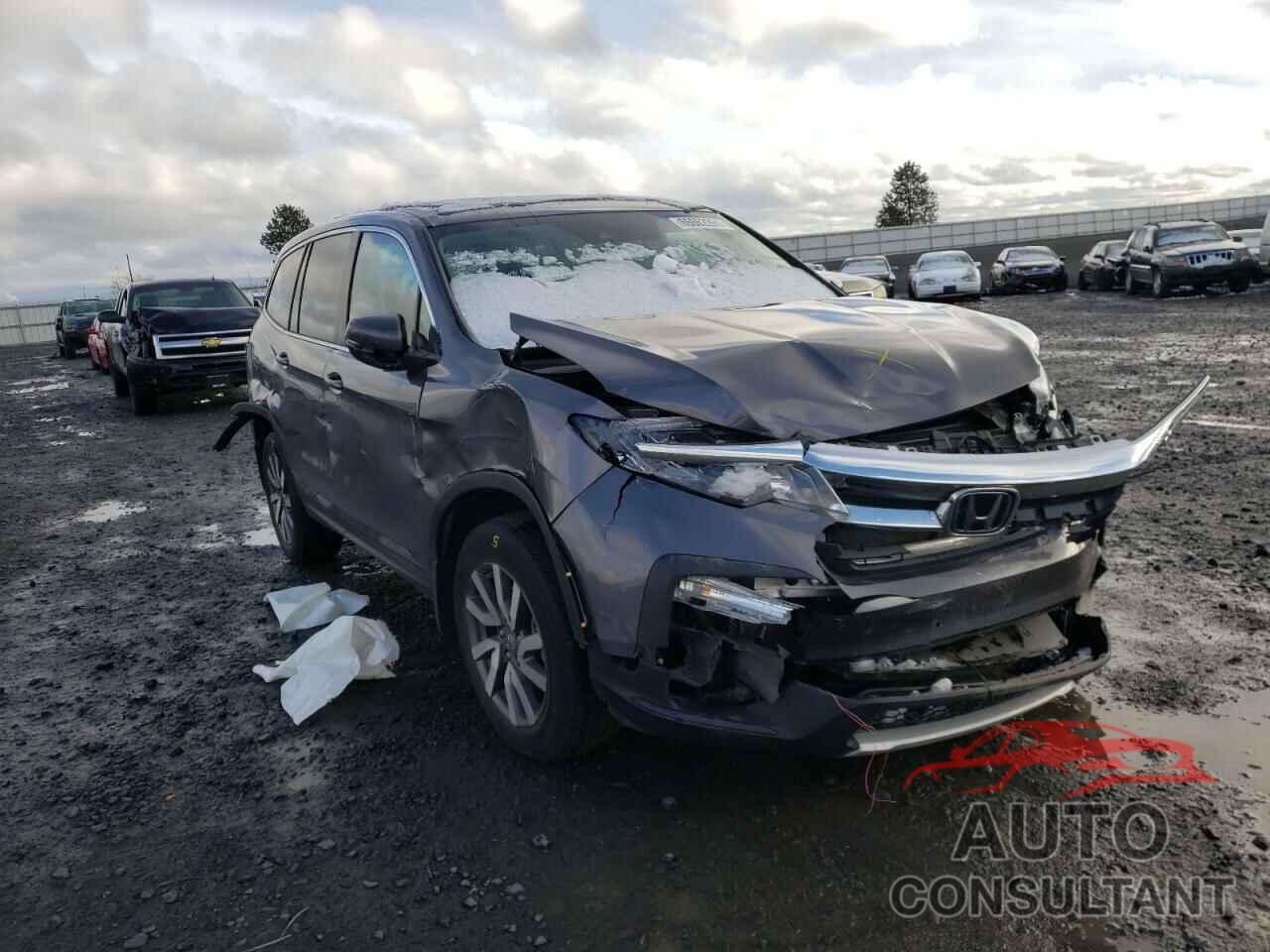 HONDA PILOT 2019 - 5FNYF6H5XKB099080