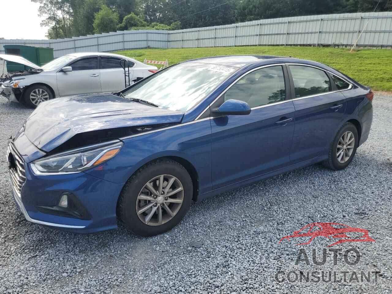 HYUNDAI SONATA 2019 - 5NPE24AF8KH800075
