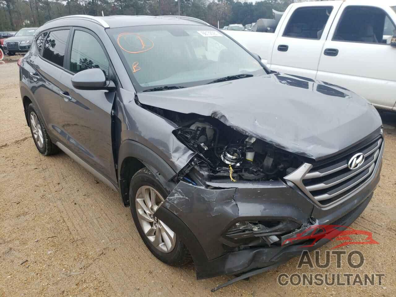 HYUNDAI TUCSON 2017 - KM8J33A42HU293866