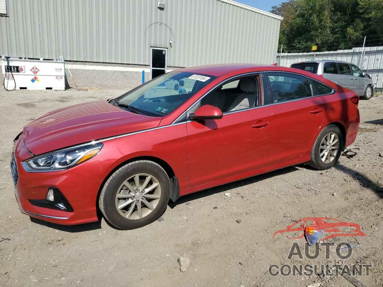 HYUNDAI SONATA 2019 - 5NPE24AF4KH812563