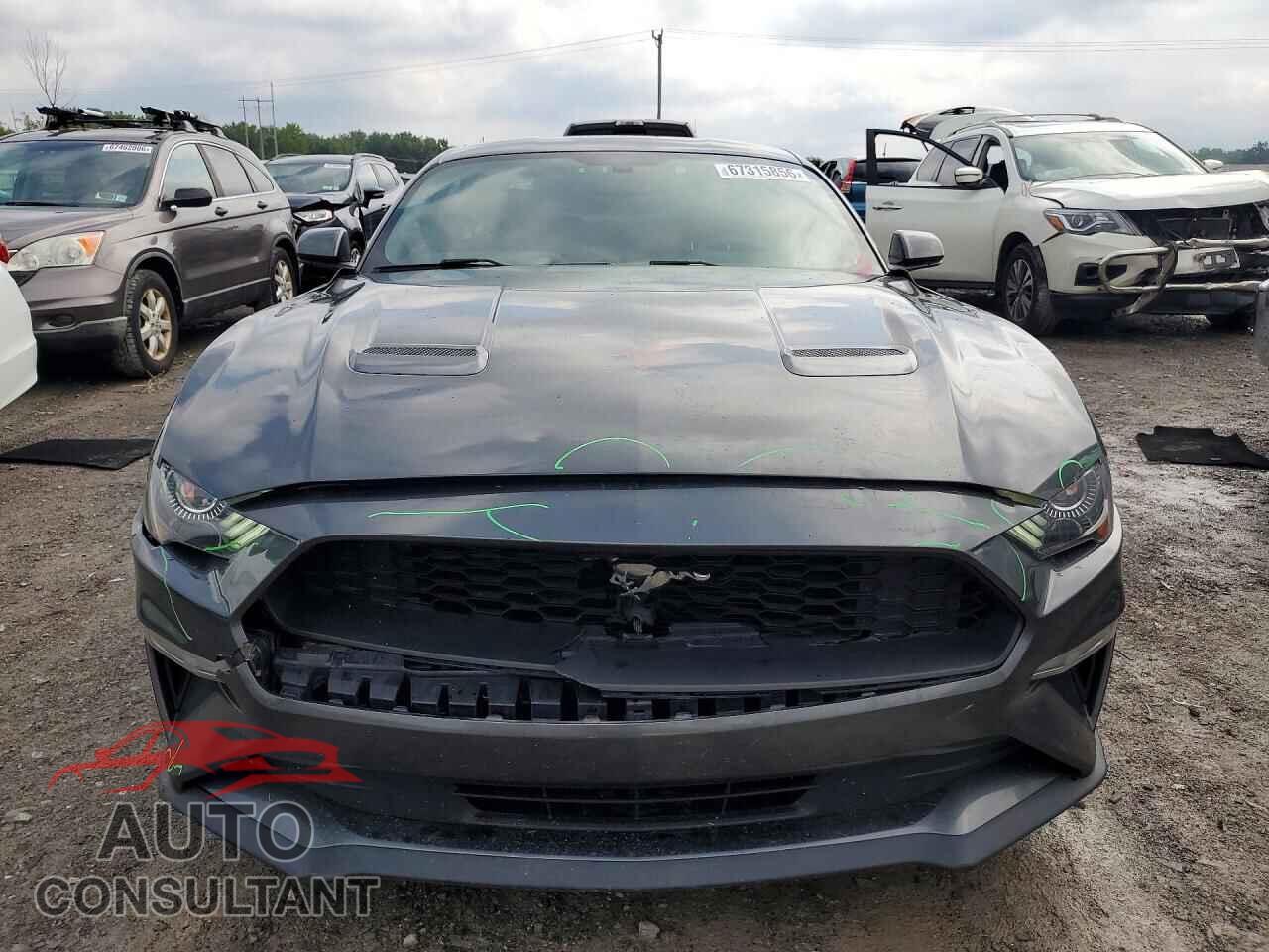 FORD MUSTANG 2019 - 1FA6P8THXK5114640