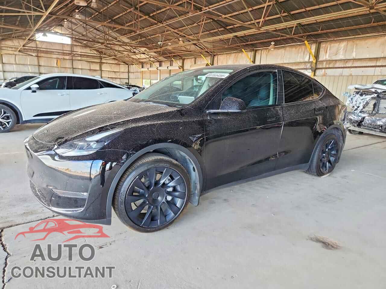TESLA MODEL Y 2023 - 7SAYGAEE3PF669421