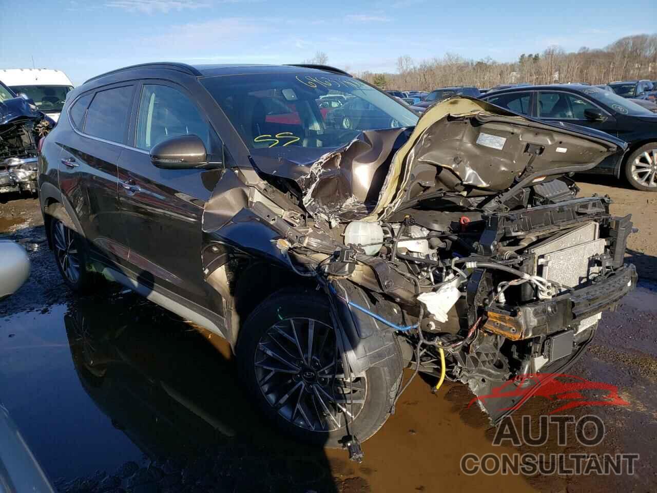 HYUNDAI TUCSON 2019 - KM8J3CAL5KU007510