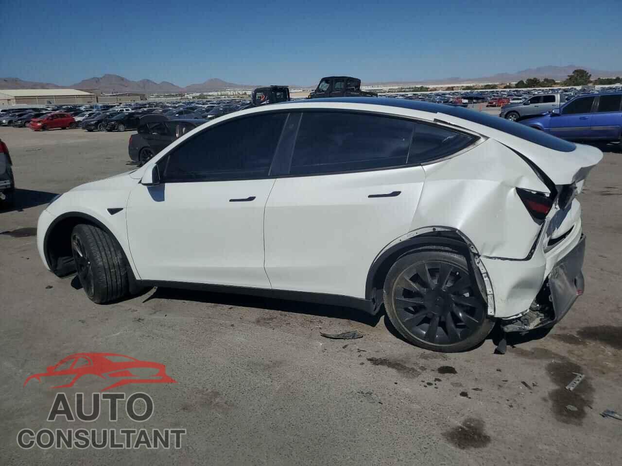 TESLA MODEL Y 2023 - 7SAYGDEEXPF617558