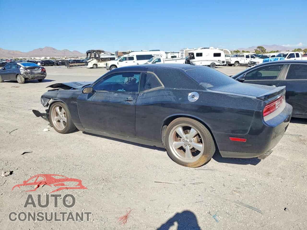 DODGE CHALLENGER 2013 - 2C3CDYBT9DH635859