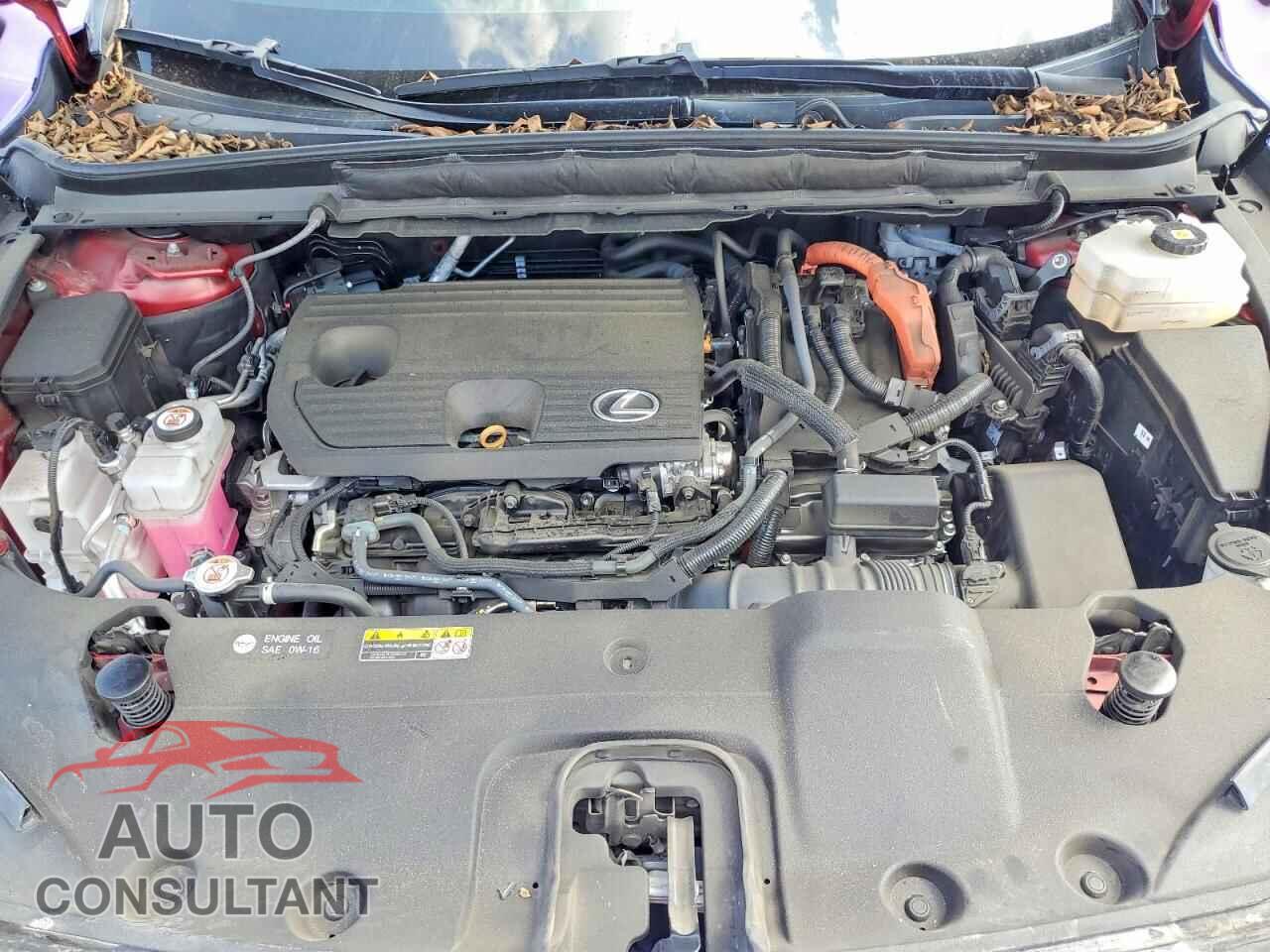 LEXUS RX350H 2024 - 2T2BBMCA4RC030082