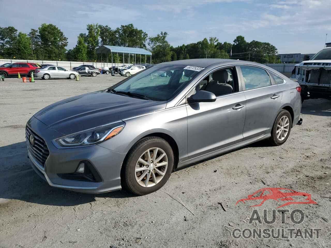HYUNDAI SONATA 2019 - 5NPE24AF8KH817992