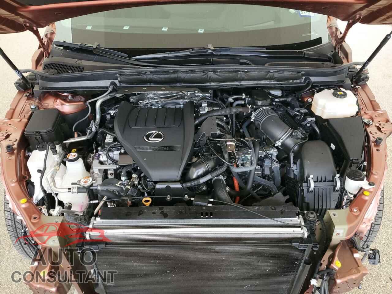 LEXUS RX 500H F 2023 - 2T2BCMEA7PC002946