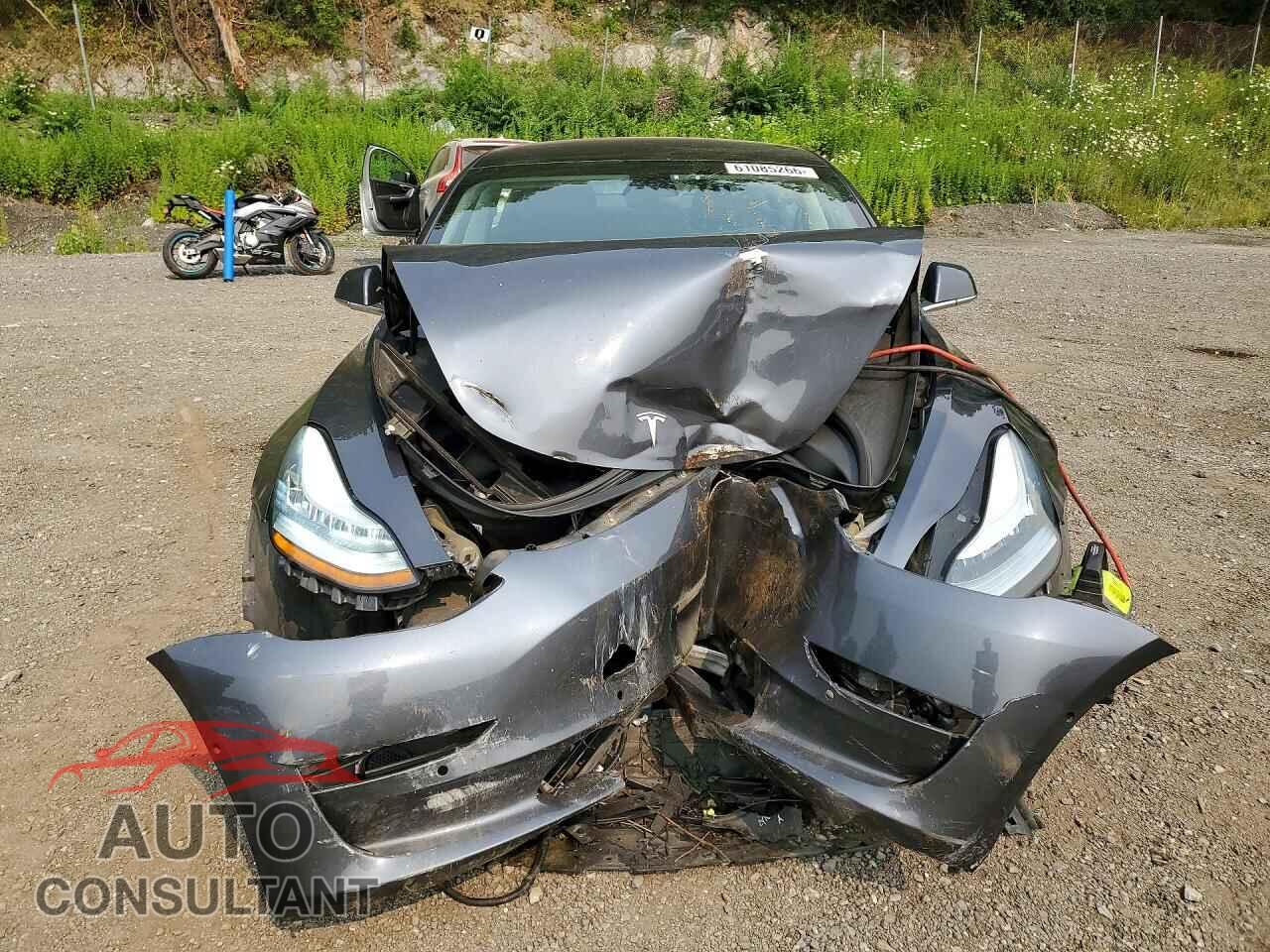 TESLA MODEL 3 2019 - 5YJ3E1EA5KF399322
