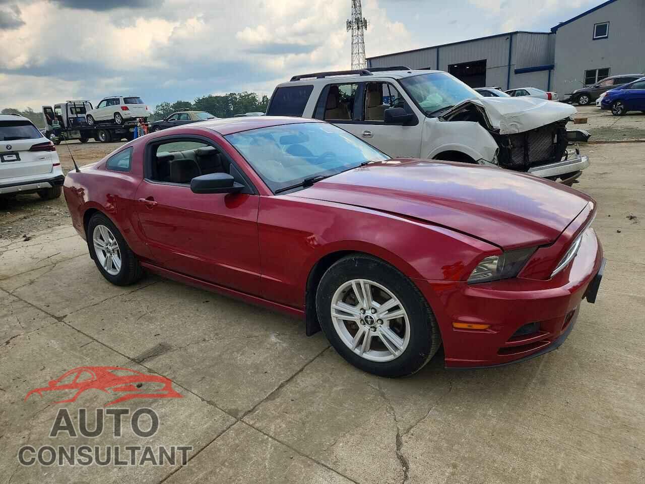 FORD MUSTANG 2014 - 1ZVBP8AM4E5245721
