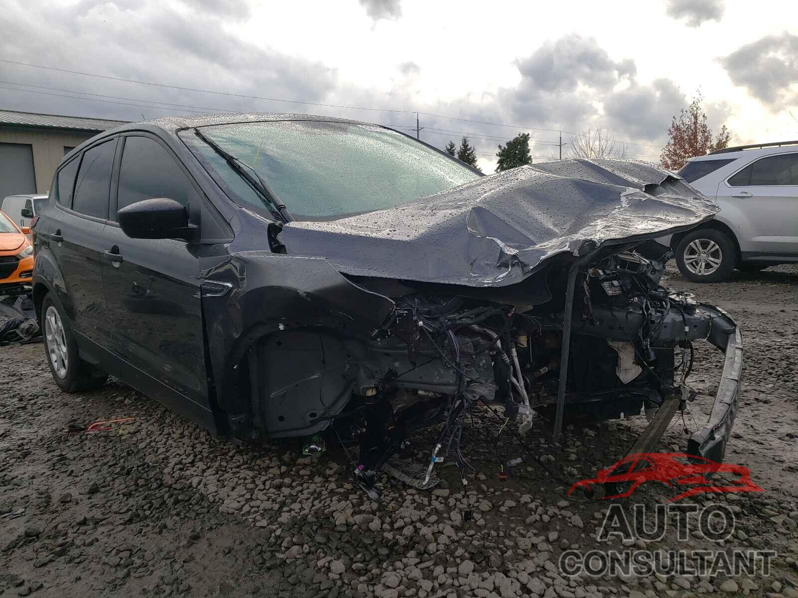 FORD ESCAPE 2019 - 1FMCU0F74KUB86865