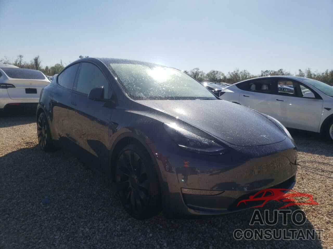 TESLA MODEL Y 2022 - 7SAYGDEF8NF451921