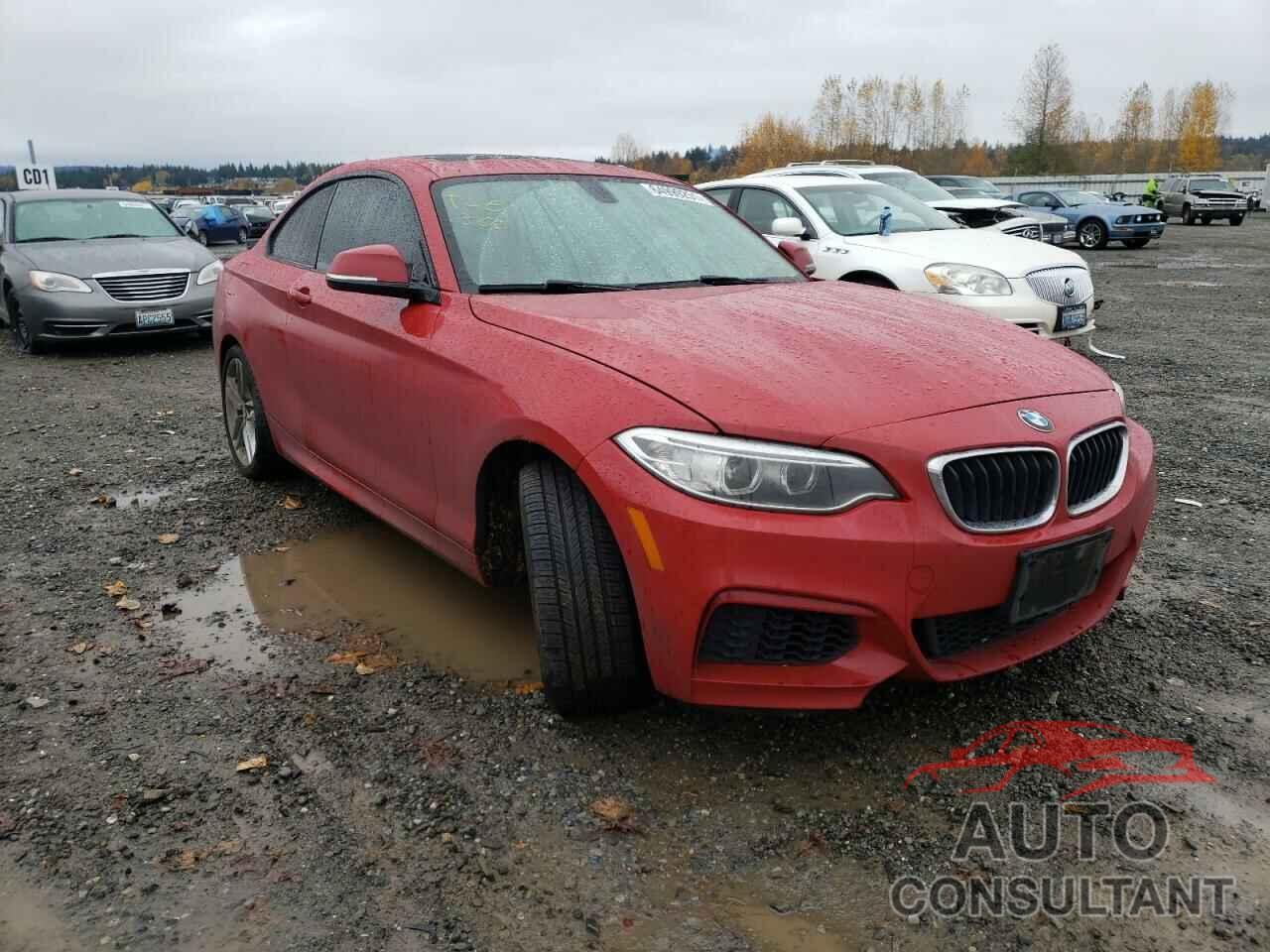 BMW 2 SERIES 2016 - WBA1G9C55GV726944