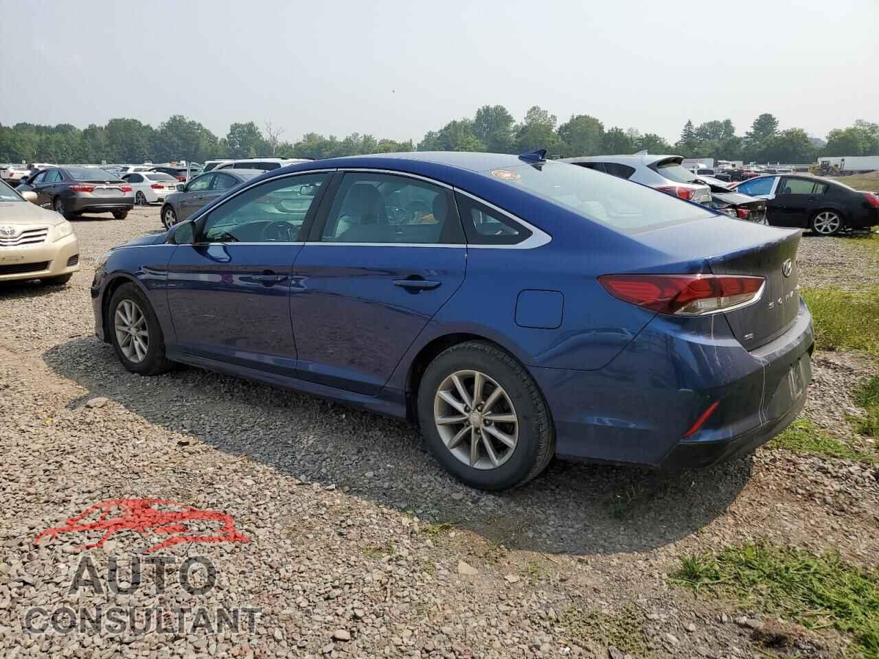 HYUNDAI SONATA 2019 - 5NPE24AF4KH769908