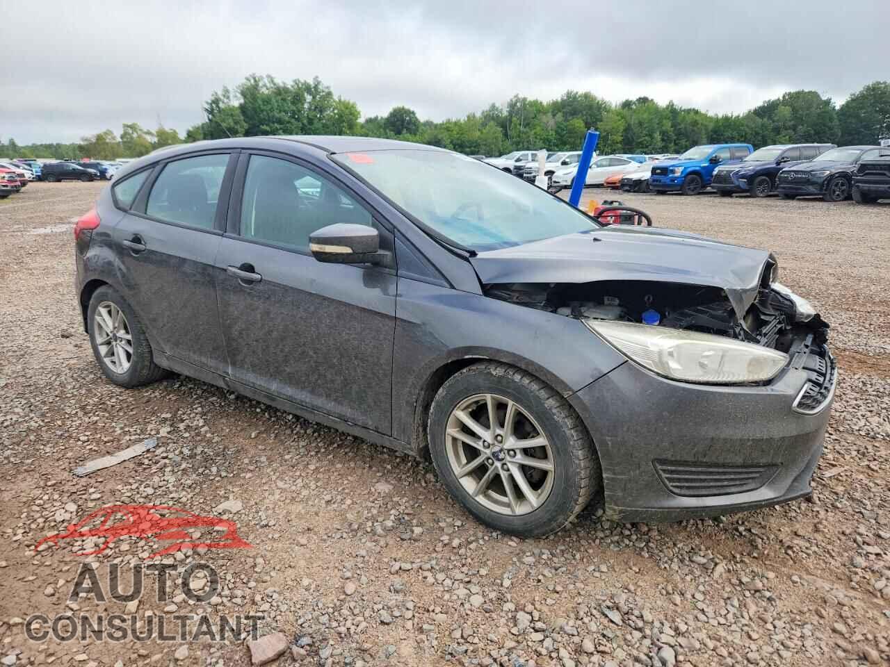 FORD FOCUS 2016 - 1FADP3K2XGL313195