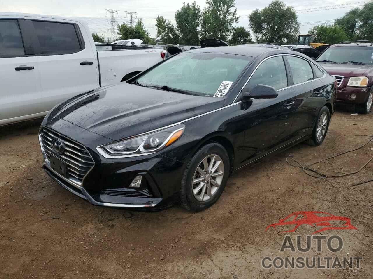 HYUNDAI SONATA 2019 - 5NPE24AF5KH729014