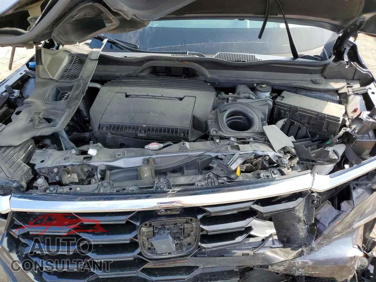 HONDA PILOT 2025 - 5FNYG1H80SB096800
