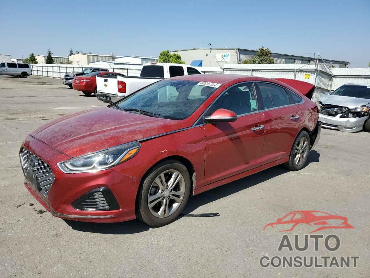 HYUNDAI SONATA 2019 - 5NPE34AF3KH768035