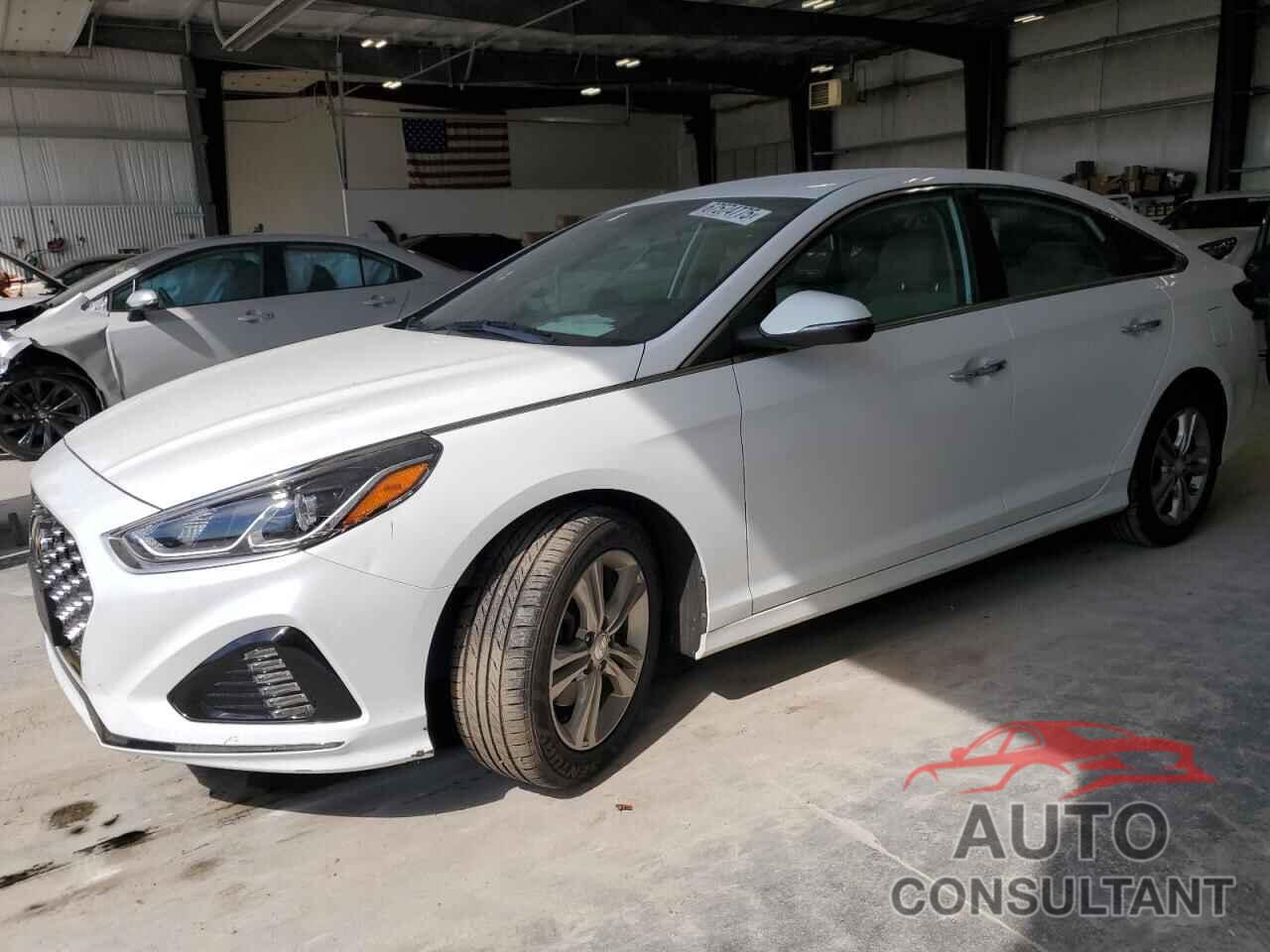 HYUNDAI SONATA 2019 - 5NPE34AF2KH819900