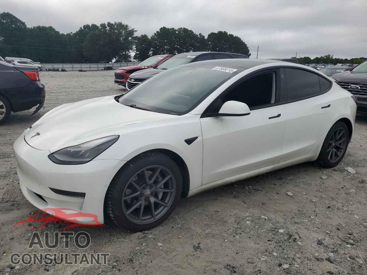 TESLA MODEL 3 2021 - 5YJ3E1EA3MF923408