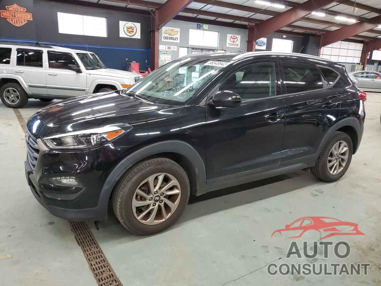 HYUNDAI TUCSON 2016 - KM8J33A45GU252985