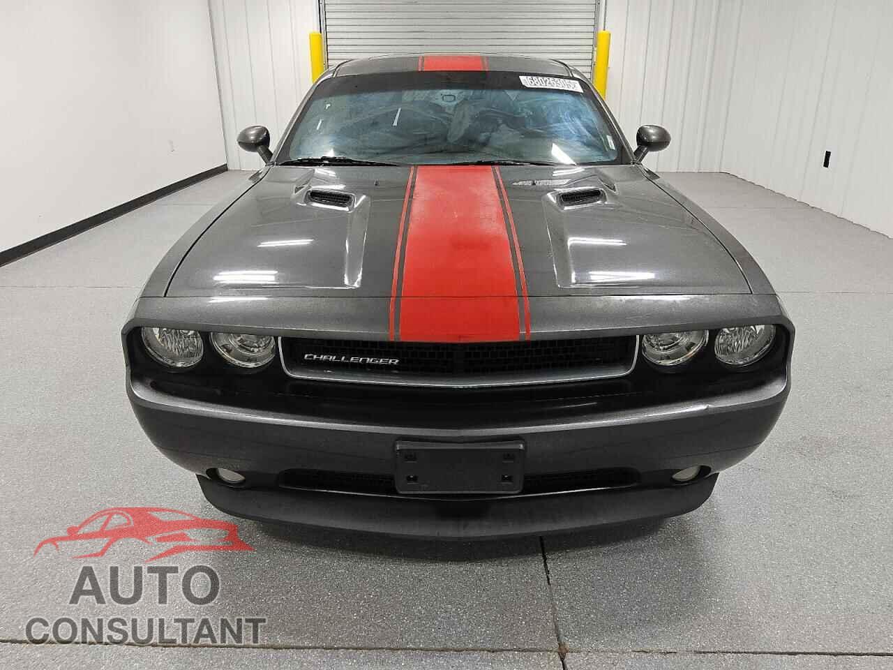 DODGE CHALLENGER 2013 - 2C3CDYAG3DH676069