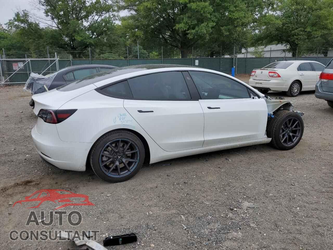 TESLA MODEL 3 2021 - 5YJ3E1EA5MF989815