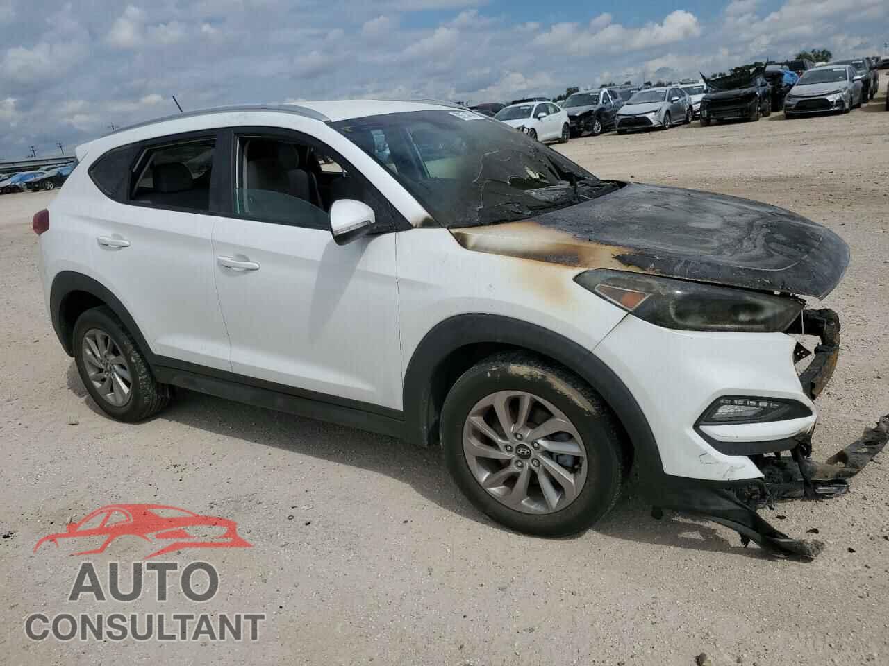 HYUNDAI TUCSON 2016 - KM8J3CA21GU051891