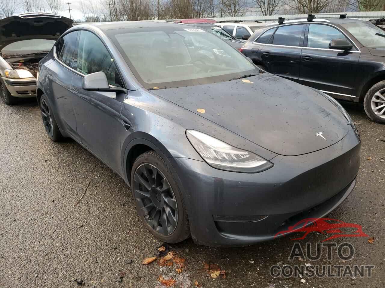 TESLA MODEL Y 2021 - 5YJYGDEE3MF095333