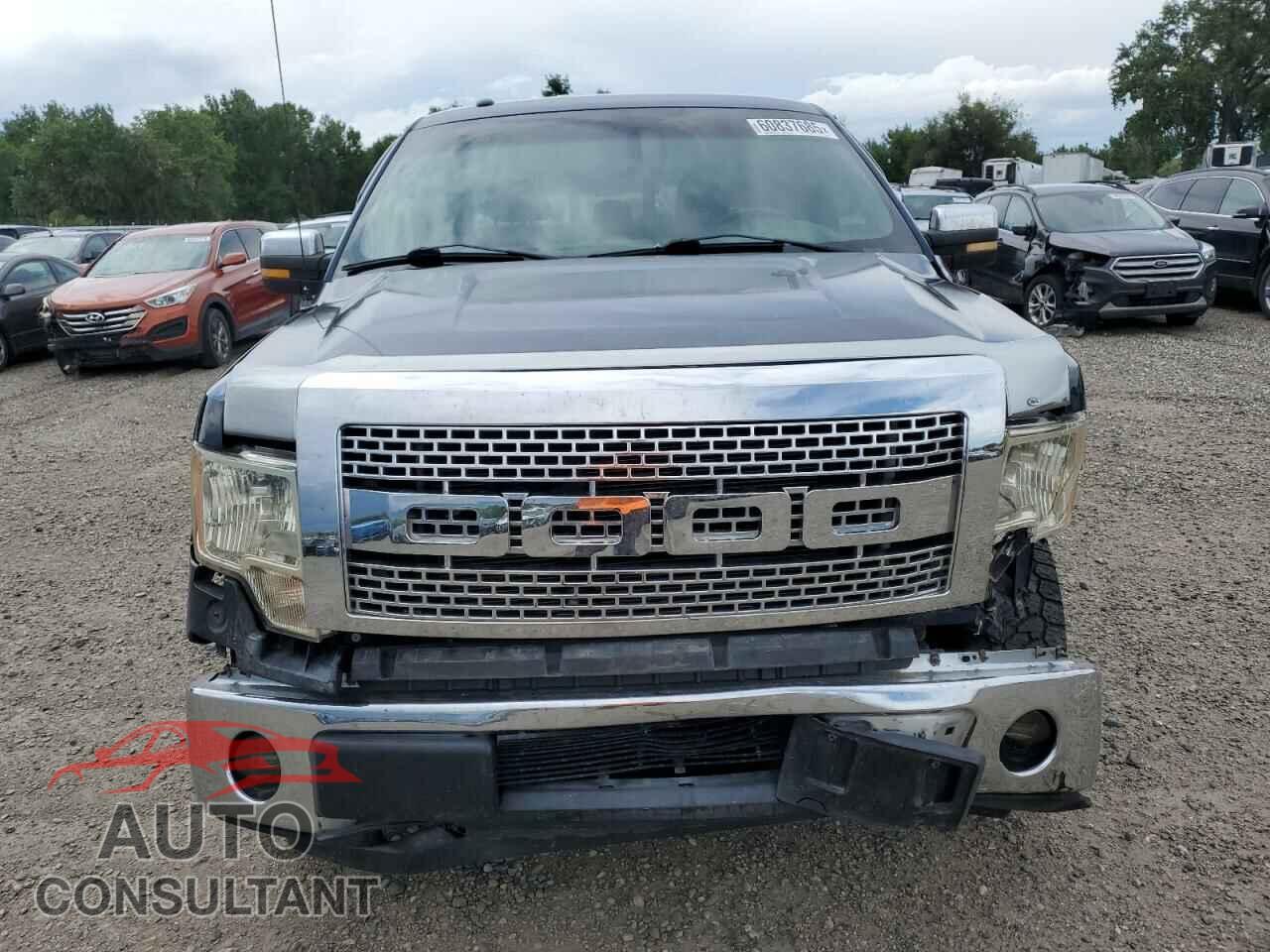 FORD F-150 2013 - 1FTFW1EF3DFD18466