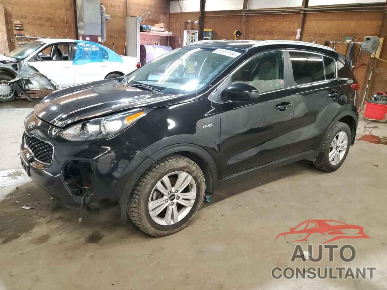 KIA SPORTAGE 2019 - KNDPMCAC6K7552996